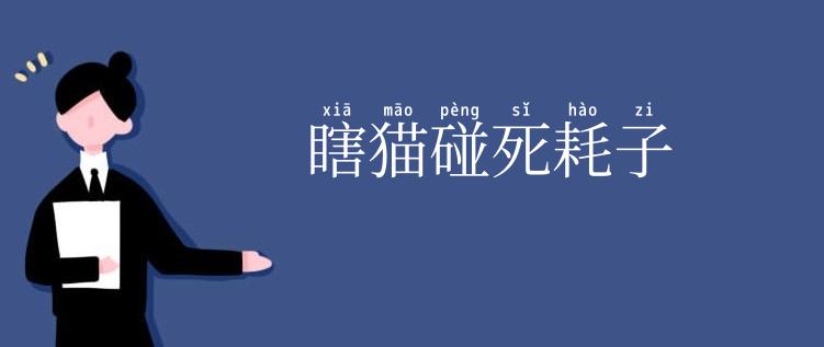 瞎猫碰死耗子