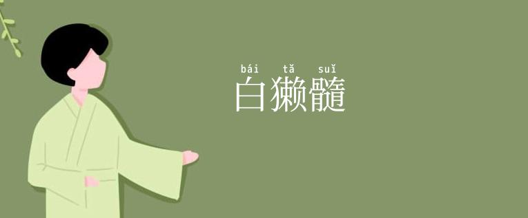 白獭髓