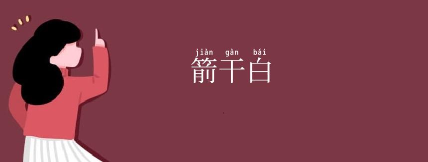 箭干白