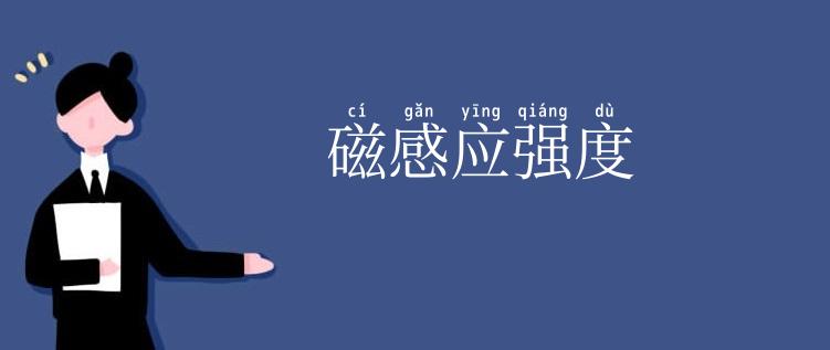 磁感应强度