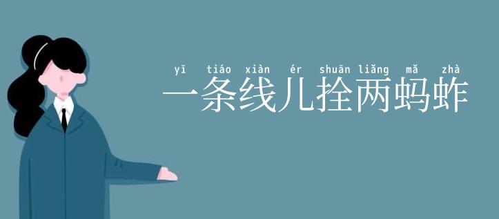 一条线儿拴两蚂蚱