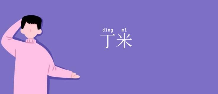 丁米