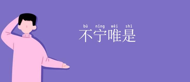 不宁唯是