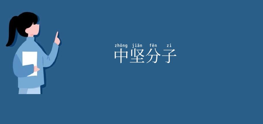 中坚分子