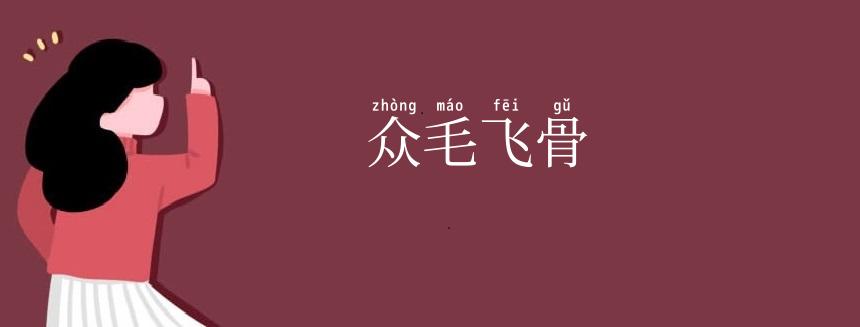 众毛飞骨