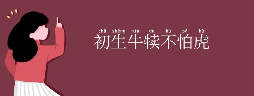 初生牛犊不怕虎