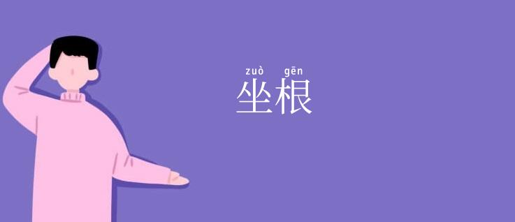 坐根