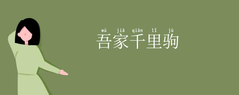 吾家千里驹