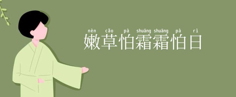 嫩草怕霜霜怕日