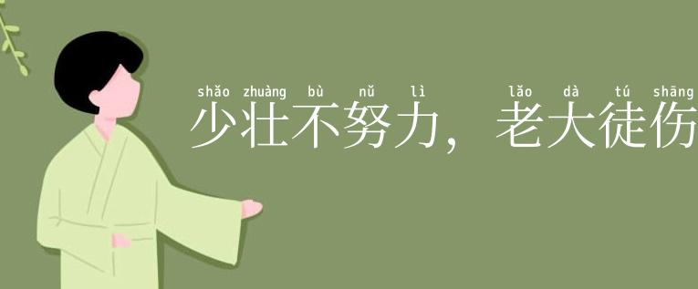 少壮不努力,老大徒伤悲