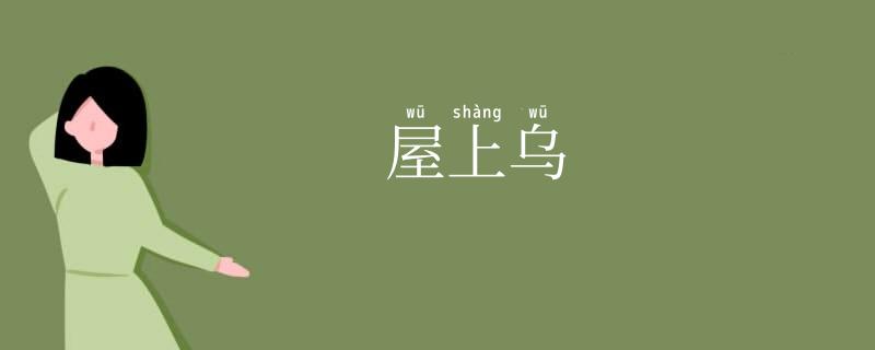 屋上乌