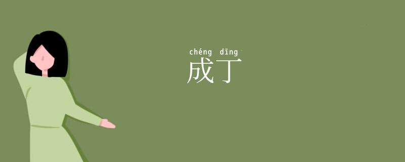 成丁
