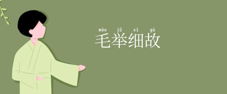 毛举细故