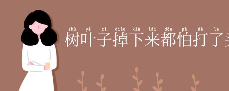 树叶子掉下来都怕打了头