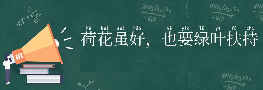 荷花虽好,也要绿叶扶持