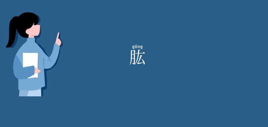 肱