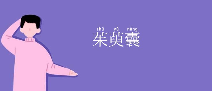 茱萸囊