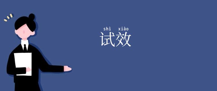 试效