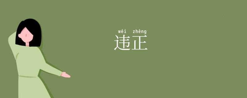 违正