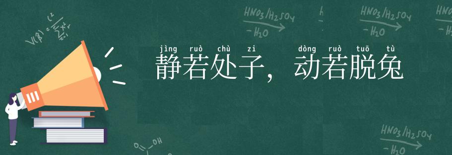 静若处子,动若脱兔