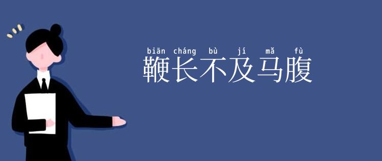 鞭长不及马腹