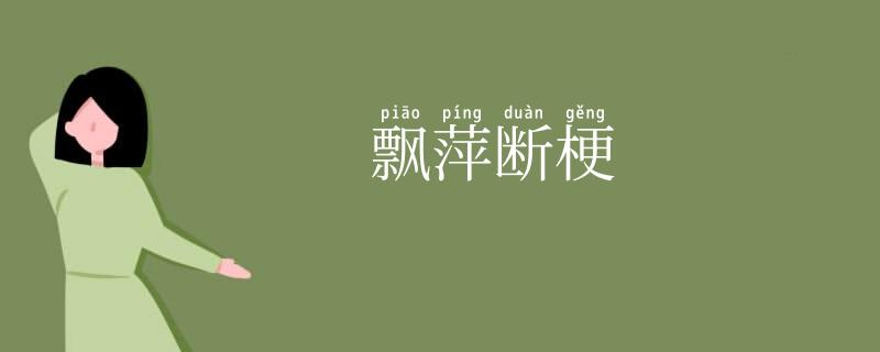 飘萍断梗