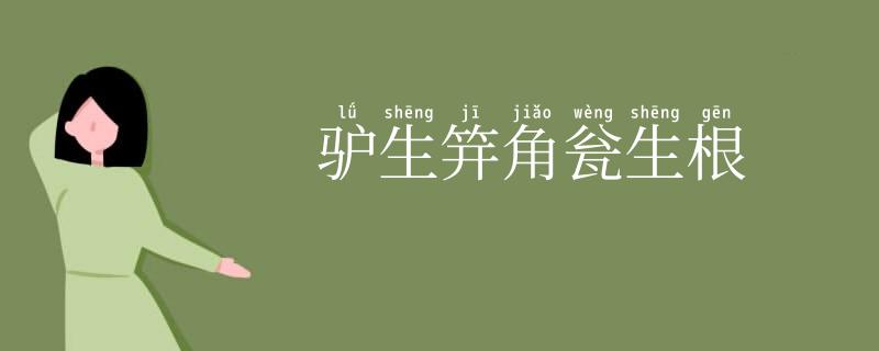 驴生笄角瓮生根