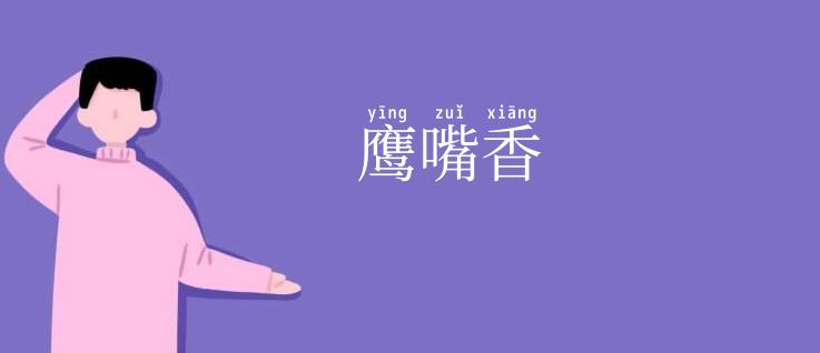鹰嘴香