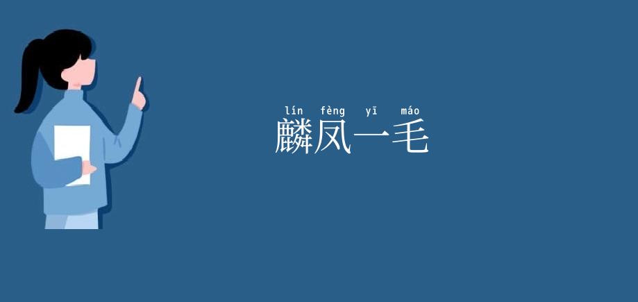 麟凤一毛