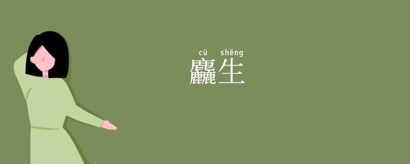 麤生