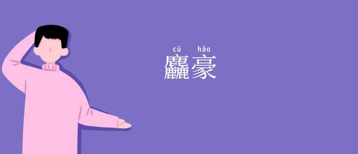 麤豪