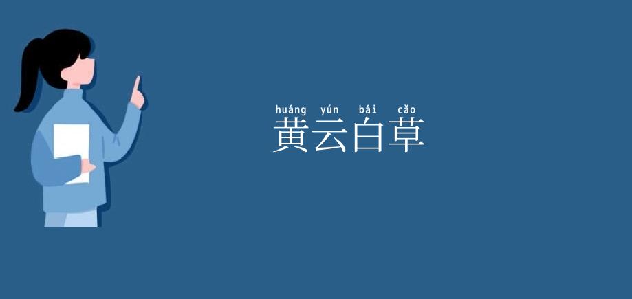 黄云白草